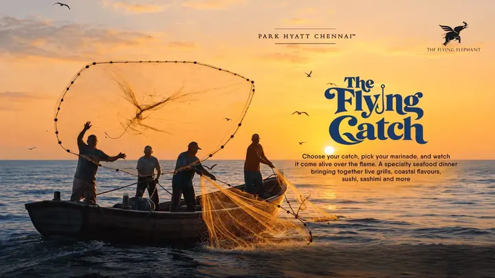 The Flying Catch poster